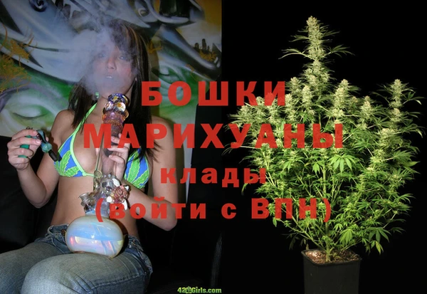 твердый Нягань