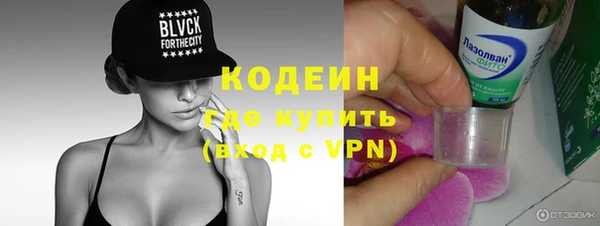 apvp Няндома