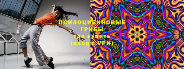 apvp Няндома