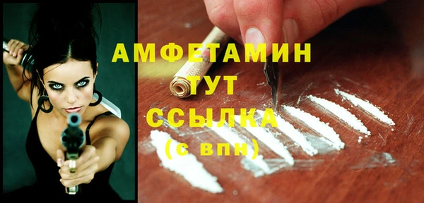 apvp Няндома