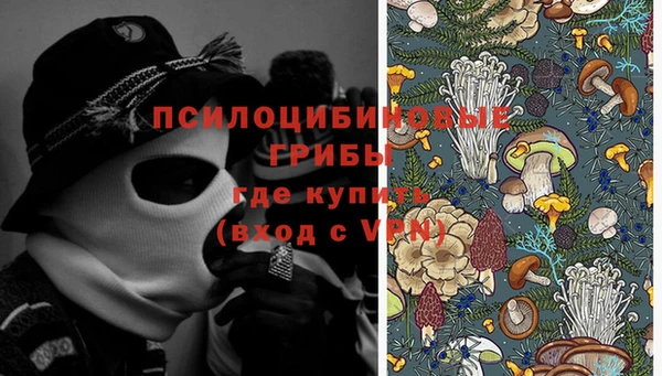 apvp Няндома