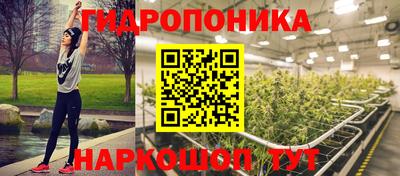 хмурый Гатчина