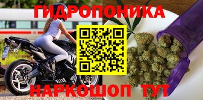 хмурый Гатчина