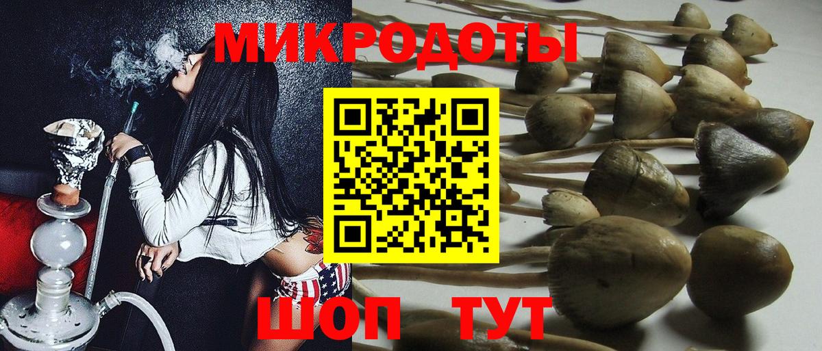 Кизляр  Псилоцибиновые грибы Psilocybine cubensis  где купить наркоту  Вход с VPN 