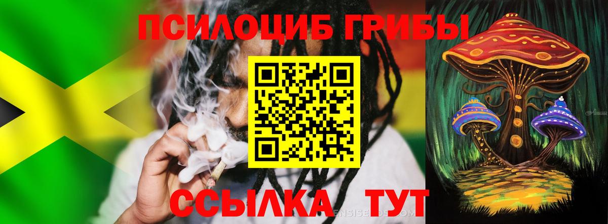 Псилоцибиновые грибы GOLDEN TEACHER Кизляр