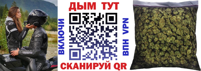 купить закладку  Кизляр  МАРИХУАНА сатива 