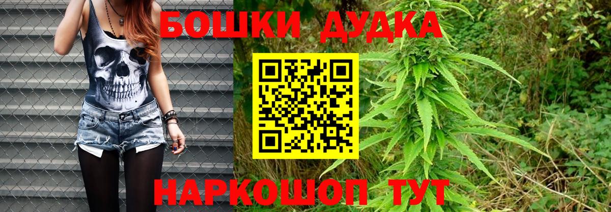 Каннабис планчик Кизляр